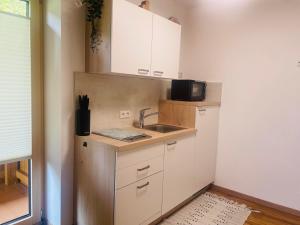 Kuchyň nebo kuchyňský kout v ubytování Haus Pfister
