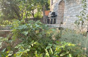 Κήπος έξω από το Apartman Mornar