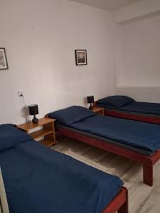 two beds in a room with blue sheets at Domek Bananek in Orzysz