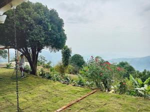 Foto sihtkohas Minca asuva majutusasutuse Alcoba en ecolodge Vista Nieves galeriist