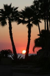 a sunset on the beach with palm trees at Port Isla Inn in Port Isabel