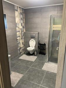 Kúpeľňa v ubytovaní Karát apartmanok 2