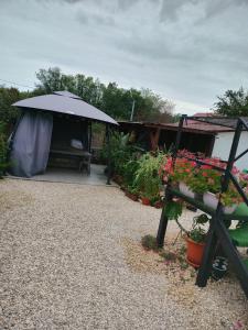 a patio with an umbrella and some potted plants at Casa Octavia in Schitul