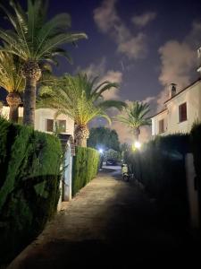 a row of palm trees on a street at night at Denia El Palmar 183 in Denia