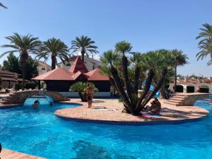 a pool with palm trees and people in the water at Denia El Palmar 183 in Denia