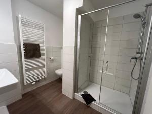 a bathroom with a shower and a sink and a toilet at Ferienwohnung Hansezauber in städtische Bestlage in Stralsund