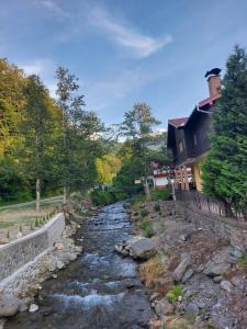 克尔茨什瓦拉乡Dor de Munte Transfăgarasan的房子旁边的一条河