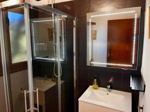 Un baño con ducha, lavabo y espejo. en Cabaña El Valle, en Pedroso de Acim