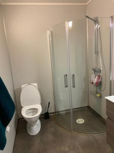 un bagno con wc e doccia in vetro di Dalens Guesthouse Sortland Vesterålen a Sortland Altre 5 foto