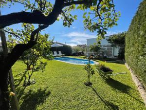 a backyard with a swimming pool and a grass yard at Casa do Albano in Viana do Castelo