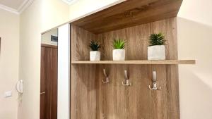 a wooden cabinet with three plants on it at Bratanov Sveti Vlas Apartments in Sveti Vlas