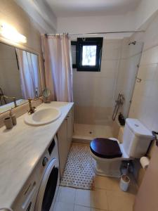 ein Badezimmer mit Toilette und Waschbecken in der Unterkunft Casa Katerina 1892 in Poros