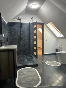 a bathroom with a shower and a toilet and a sink at Vik. Apartment in Sighişoara