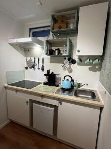 a small kitchen with white cabinets and a sink at Ferienwohnung 1 Klangweberei im Frankenwald in Helmbrechts +15 photos