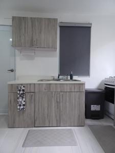 a kitchen with wooden cabinets and a sink at Black & White Comfort Studio in San Juan