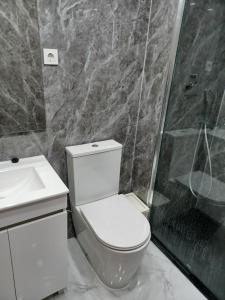 uma casa de banho com um WC, um lavatório e um chuveiro em Oporto Cozy Rooms em Porto