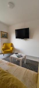 TV a/nebo společenská místnost v ubytování Apartman Berlin Sokobanja