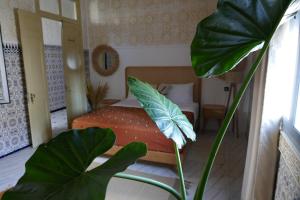 A bed or beds in a room at chez Aissam
