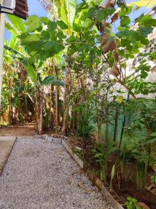 a garden with plants and a walkway at 11suites casa Suite#1 in Caraguatatuba +14 photos