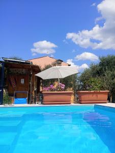 The swimming pool at or close to Il Podere di Massi