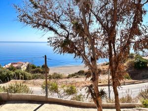 a tree on the side of a road next to the ocean at KAZA Aouchtame 1 in Tétouan