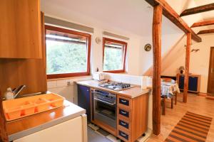 a kitchen with a stove top oven in a room at apartman liker in Ravna Gora