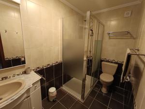 a bathroom with a shower and a toilet and a sink at Apartamento Moni in Benia de Onís