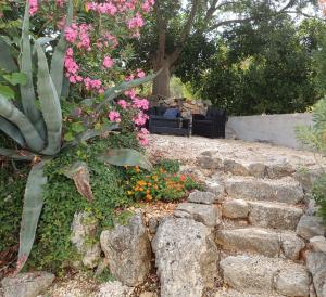Vonkajšia záhrada v ubytovaní Centrally located 3 Bedroom Holiday House O'Live with private garden