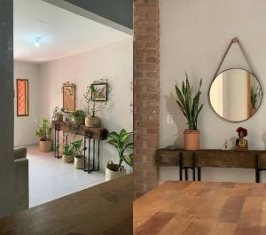 a room with potted plants and a mirror on the wall at Suites Casa De Ban in Lençóis