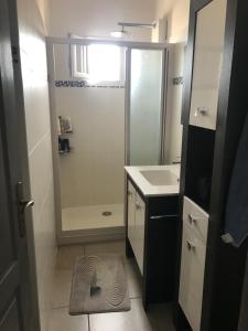 a bathroom with a shower and a sink and a mirror at Maison les pieds dans L'eau à 150 m de la plage in Marseillan