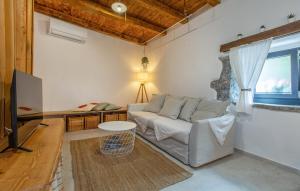 a living room with a couch and a tv at Apartmaji Robida in Sežana