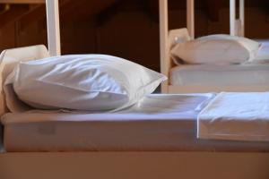 Symphony Hostel Shkoder客房内的一张或多张床位