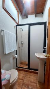a bathroom with a shower and a toilet and a sink at Valle Sagrado Tepoztlán in Tepoztlán
