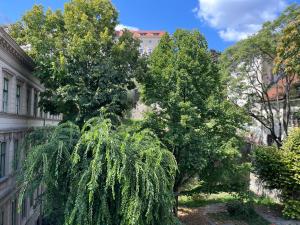 Sunny Studio at the Castle 1011 Budapest, Hunyadi Janos ut 13. 2/8. kép - 2