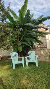 奥瓦达Il Giardino di Claudia Cardamomo的两把白色椅子坐在树旁的草上