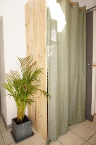 a plant in a pot next to a curtain at Ma petite maison bretonne in Guimiliau +43 photos
