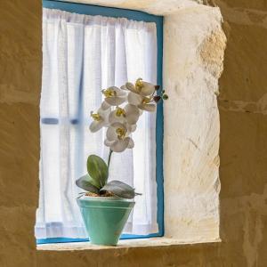Fotografie z fotogalerie ubytování Room 4 - Family room x 3 by Solea v destinaci Għarb