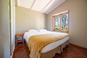 Billede fra billedgalleriet på Parque San Juan - Héroes Parques i San Antonio + 56 billeder