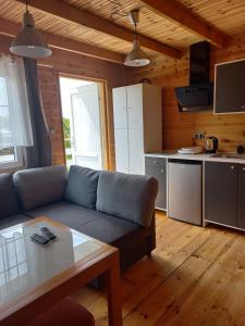 a living room with a couch and a kitchen at Domek u Beaty 1 in Rewal