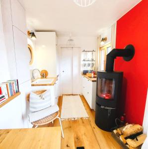 a kitchen with a wood stove in a room at Boutique Loft "Mrs Green" im Thayatal, Tiny Haus in Drosendorf Stadt