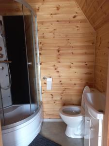 a bathroom with a shower and a toilet and a sink at Domek u Beaty 1 in Rewal