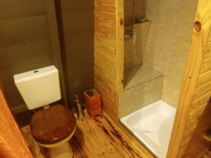 ein kleines Badezimmer mit Toilette und Dusche in der Unterkunft Cabaña Trapecio in San Carlos de Bariloche + 11 Fotos