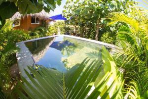 Kolam renang di atau dekat dengan PalMar Bungalow