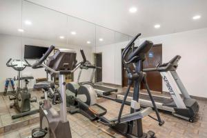 Fitness centrum a/nebo fitness zařízení v ubytování Best Western Parker Inn