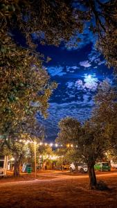 Fotografie z fotogalerie ubytování Vamos Camping v destinaci Ayvacık