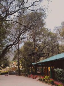 ビムタルにあるHilltop Manorの木々のある公園とたくさんの植物のある建物
