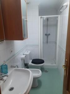 Un baño con inodoro, ducha y lavabo. en Cangas Alameda, en Cangas de Onís