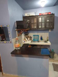 eine Küche mit Arbeitsplatte und Spüle in der Unterkunft Departamento en el corazón de cozumel in Cozumel