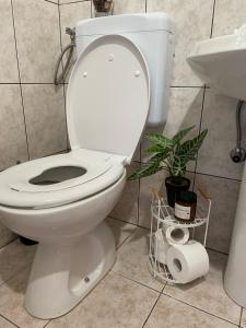 Koupelna v ubytování SanMari