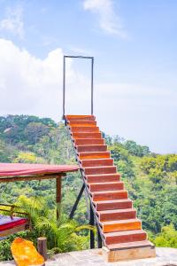 a stairway leading up to the top of a mountain at Hostal Sierra Minca in Minca